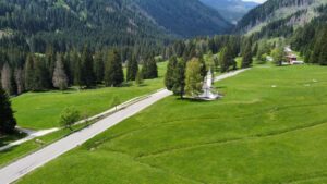 Foresta dei Violini